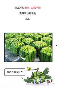 武汉吃瓜群众最新爆料事件,揭秘背后惊人真相  第3张 武汉吃瓜群众最新爆料事件,揭秘背后惊人真相  第3张