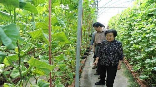 南充吃瓜最新事件爆料是真的吗,最新爆料真相揭秘  第2张 南充吃瓜最新事件爆料是真的吗,最新爆料真相揭秘  第2张