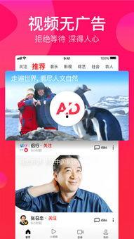 瓜哥吃货视频大全下载免费,免费下载,畅享美食盛宴  第3张 瓜哥吃货视频大全下载免费,免费下载,畅享美食盛宴  第3张