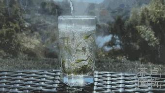 茶农世家最新爆料,传承千年的神秘茶事  第3张 茶农世家最新爆料,传承千年的神秘茶事  第3张
