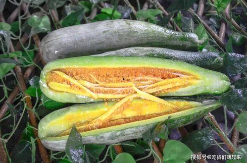 网红吃瓜.com,揭秘娱乐圈幕后故事,带你领略网络红人世界  第2张 网红吃瓜.com,揭秘娱乐圈幕后故事,带你领略网络红人世界  第2张